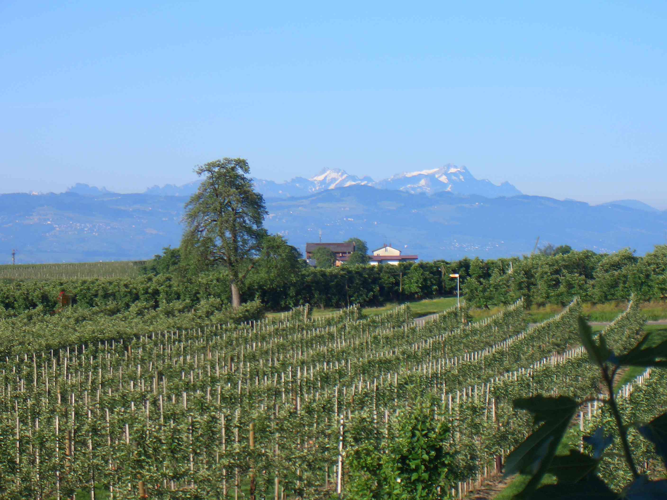 Unser Bergblick